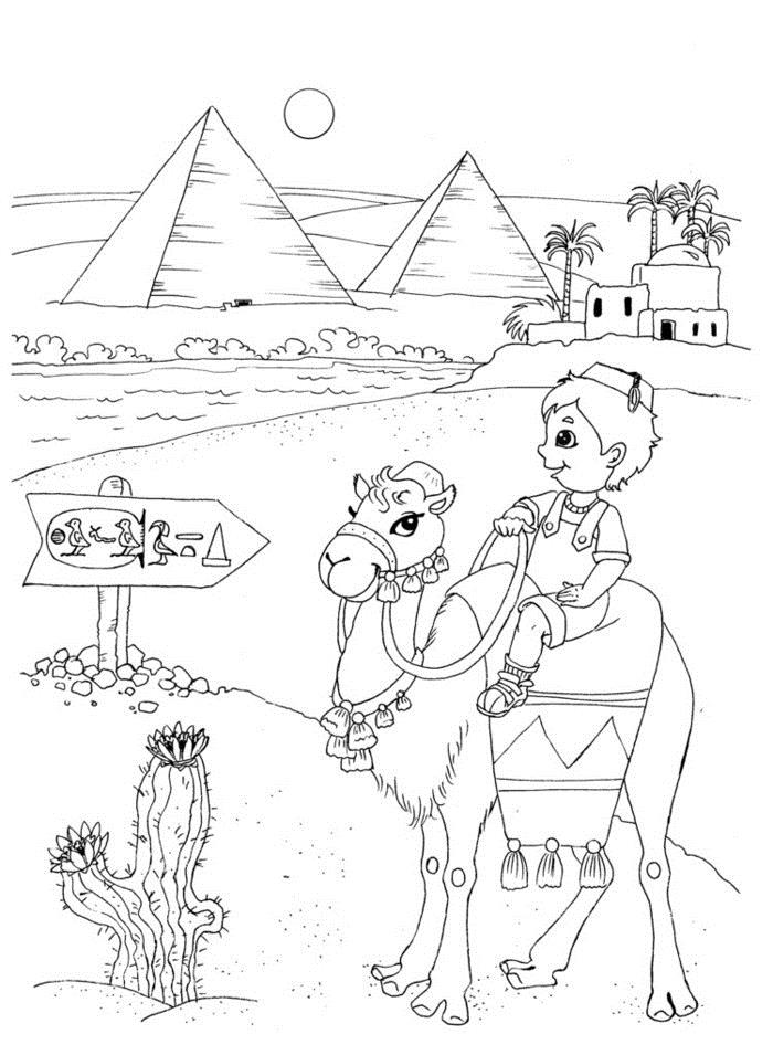   Пирамиды египта, мальчик на верблюде, цветущий кактус