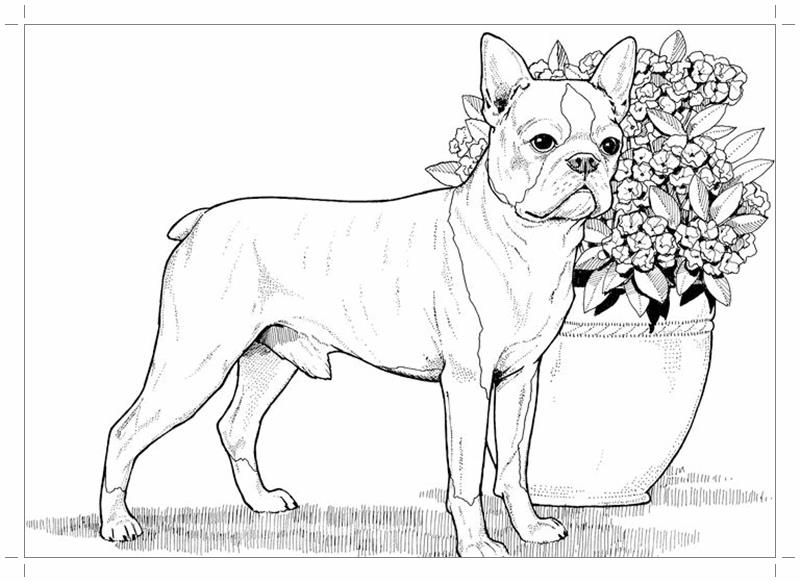   Собака, пес возле вазы с цветами