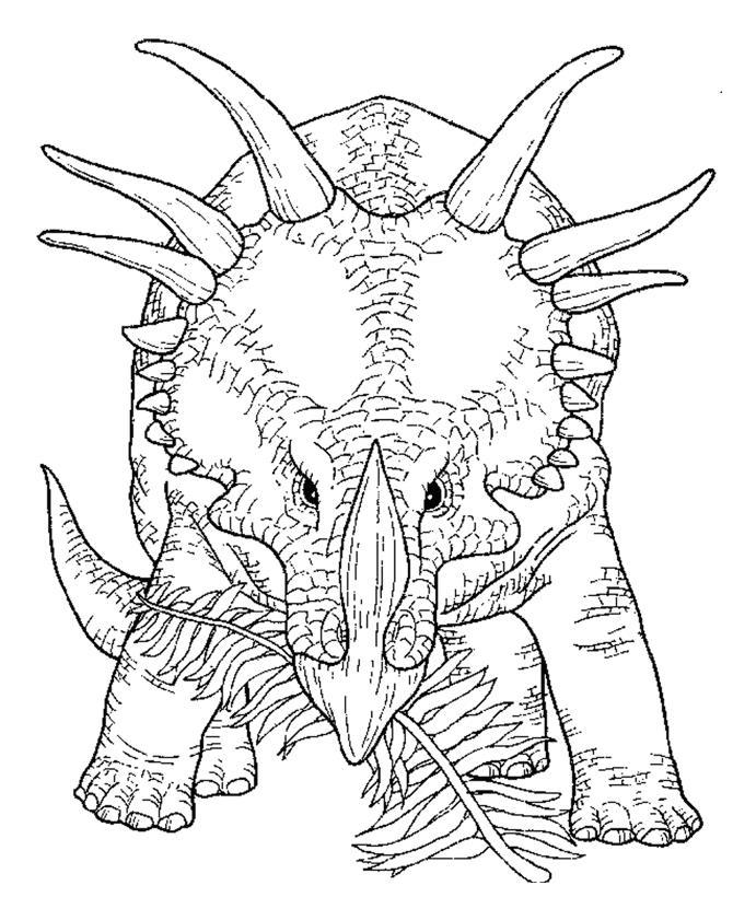   Трицератопс жует папоротник