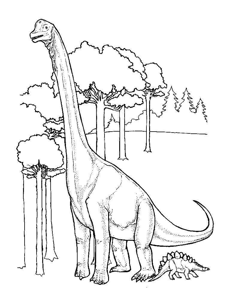  Бронтозавр выше деревьев