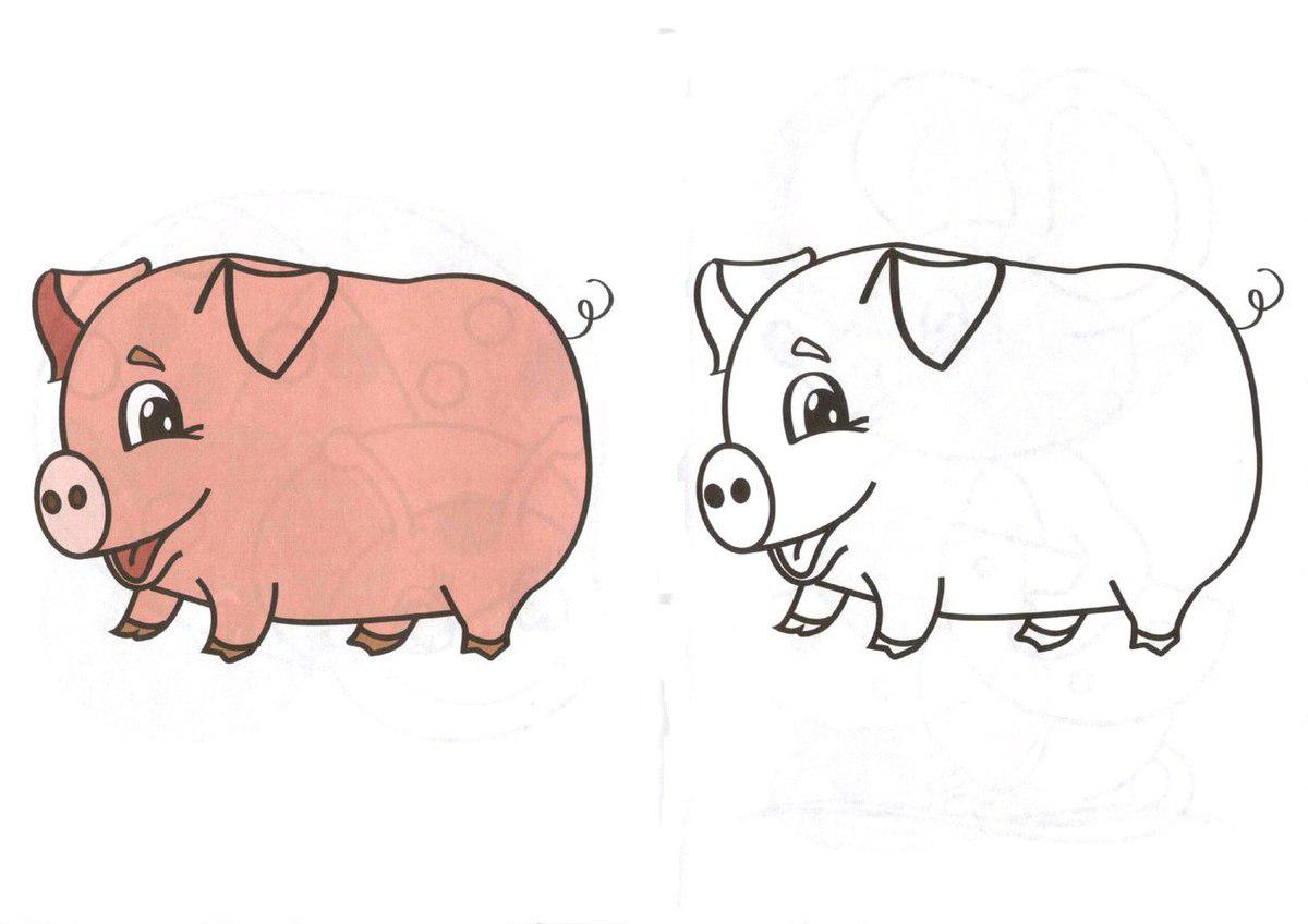   Раскраски по образцу свинку