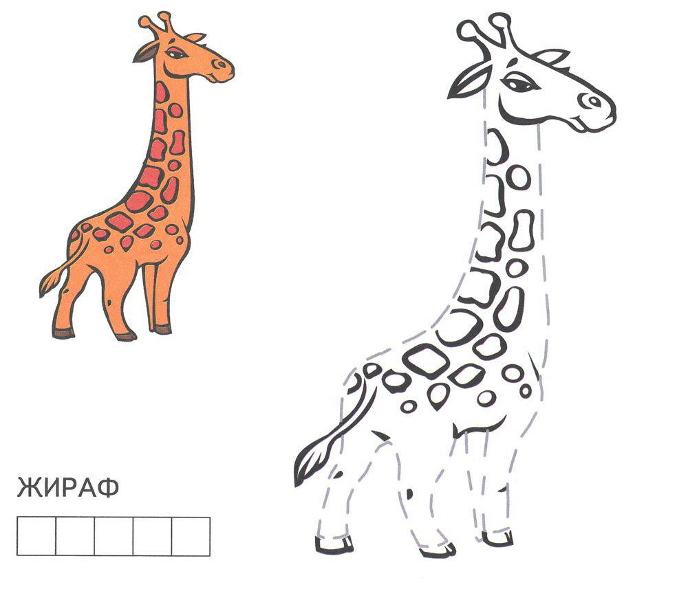 Раскраски жираф  Раскрась по образцу, жираф