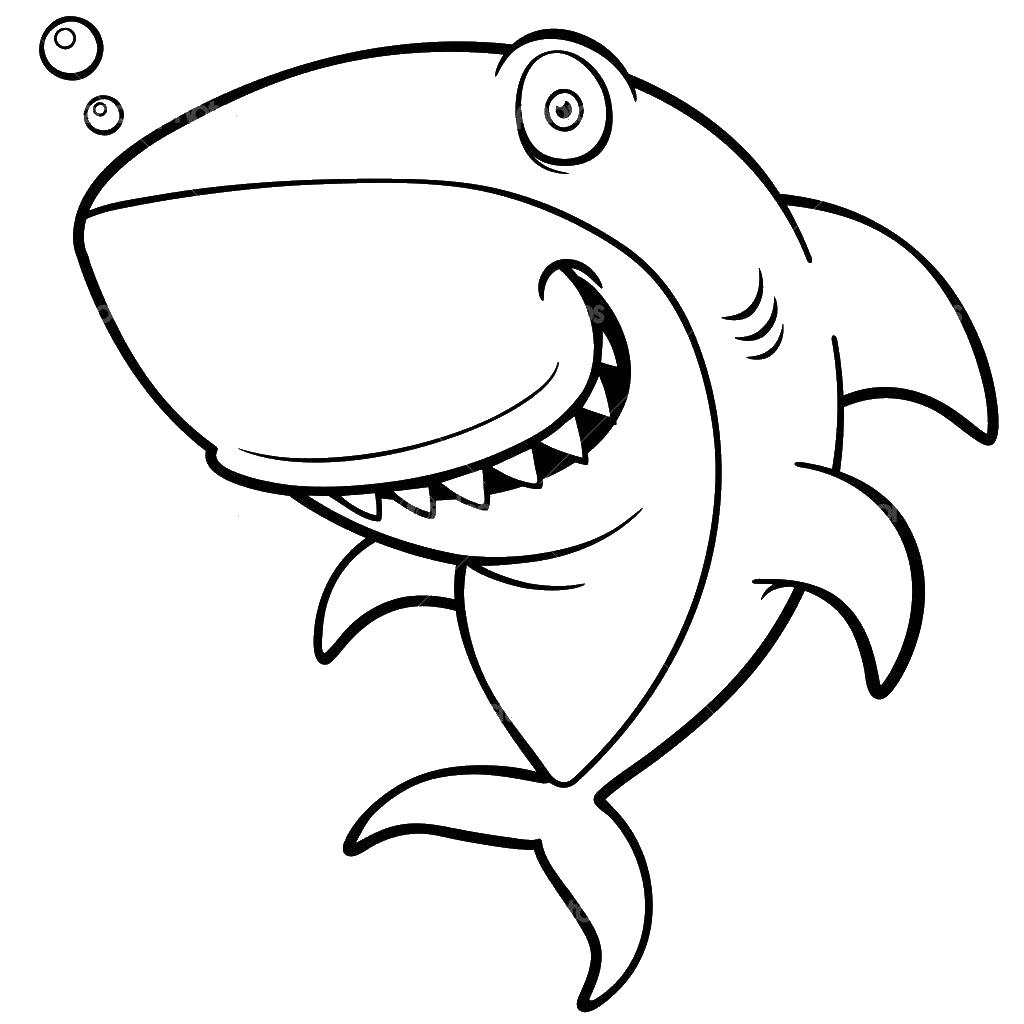   Прикольная акула