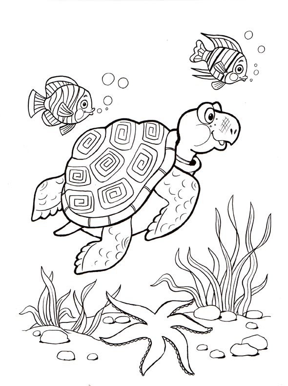   Морская черепаха и рыбки