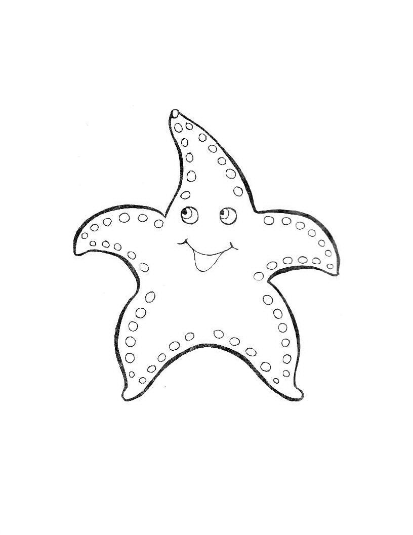   Красивая морская звезда