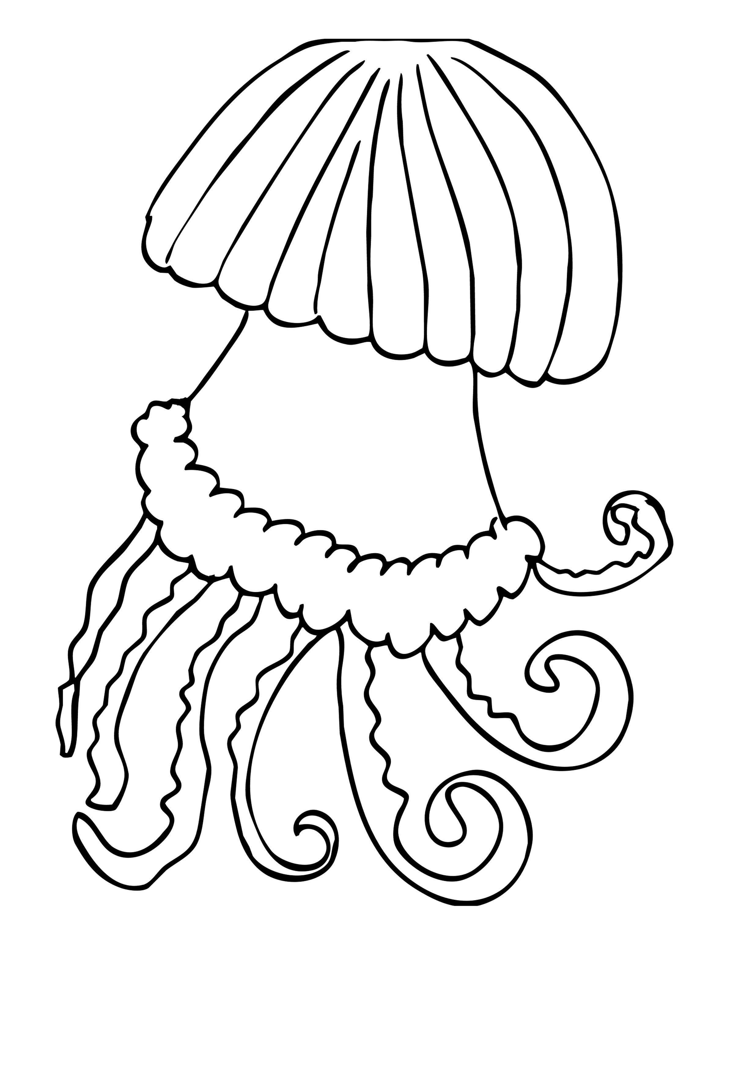   Медуза
