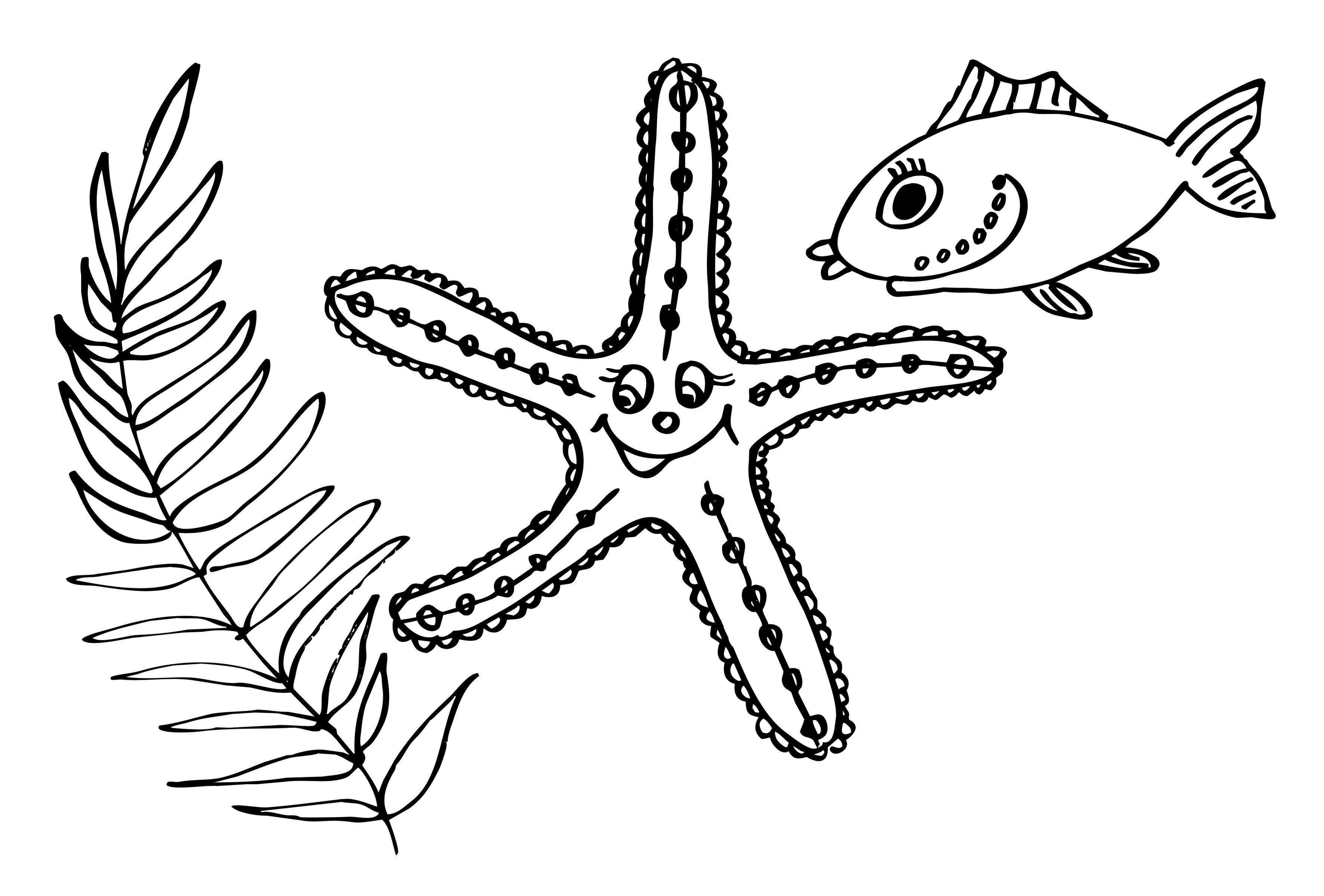   Водоросль, морская звезда и рыбка