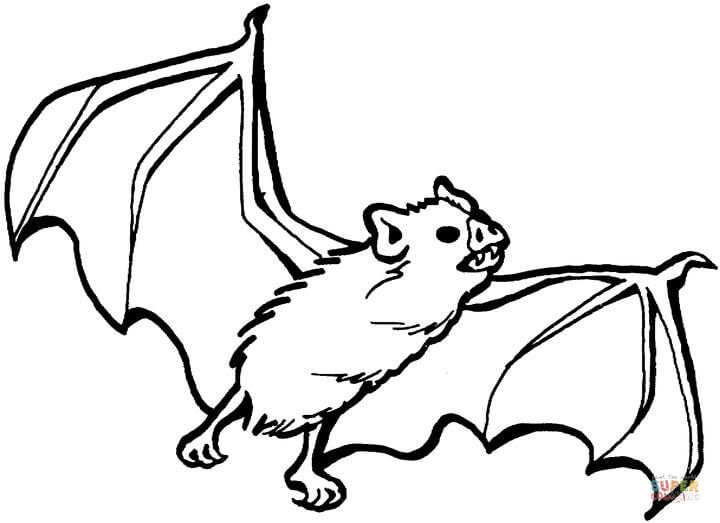   Летучая мышь с клыками