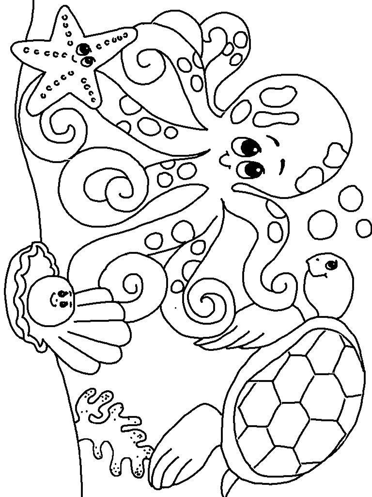   Осьминог и черепаха