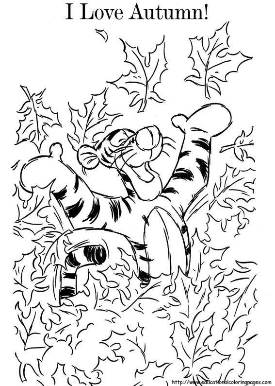   Тигра и листья
