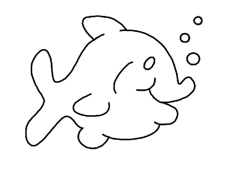   Веселый дельфин пускает пузыри