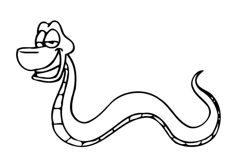 Раскраски змея  Змея с улыбкой