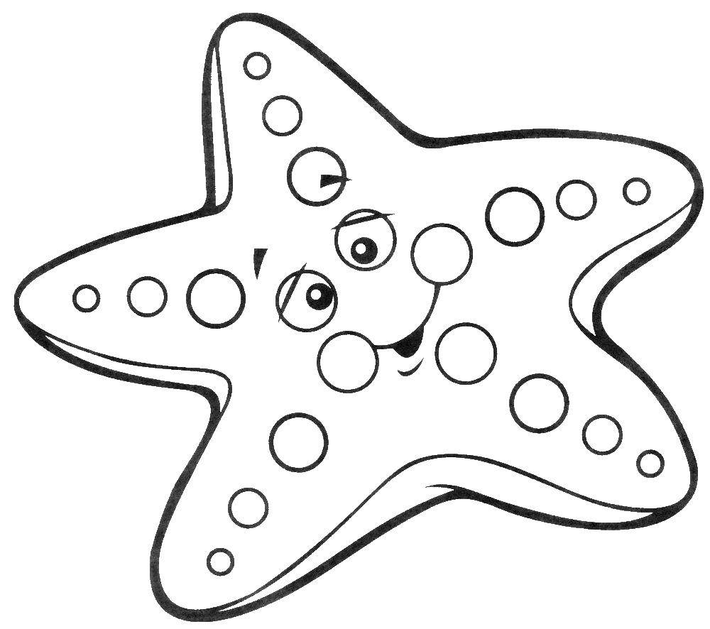   Неуклюжая морская звезда