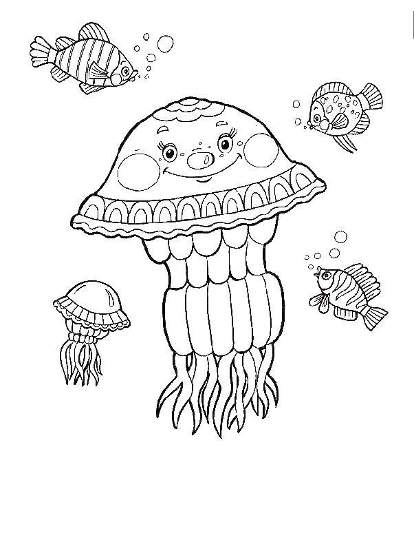  Веселая медуза плавает с рыбками