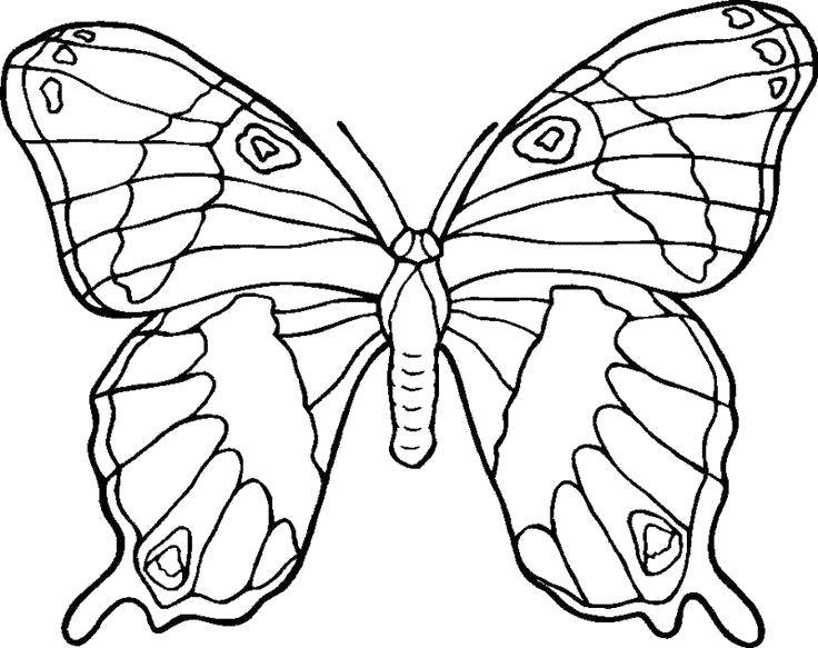   Придумай дизайн бабочке