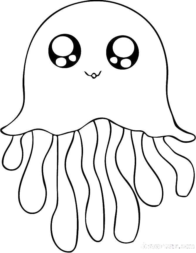   Милая медуза