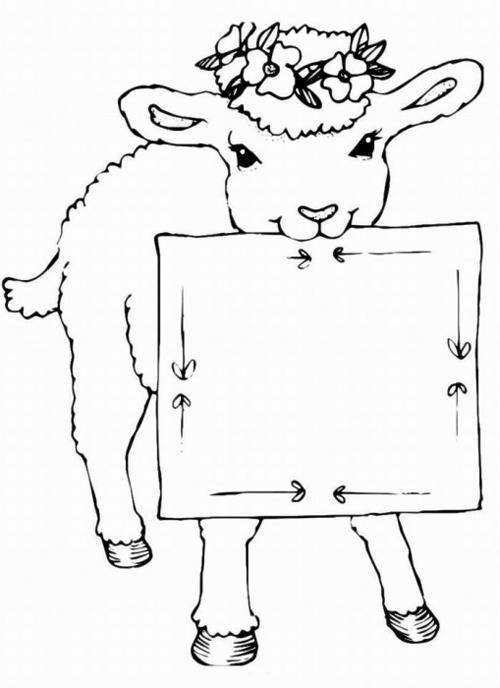 Раскраски овечки, бараны, ягнята  Рисунок овечки с открыткой
