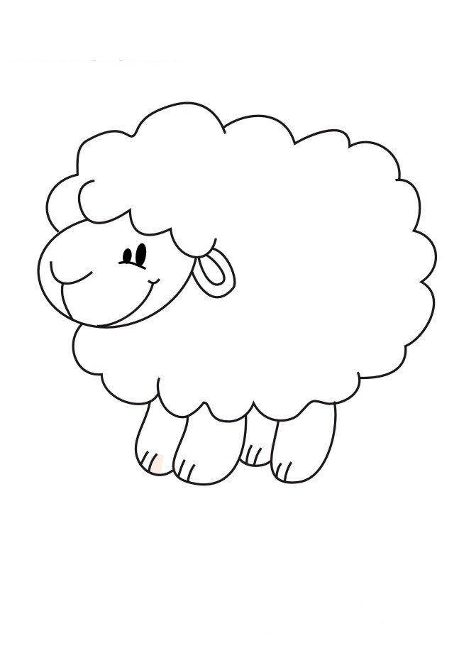   Рисунок овцы
