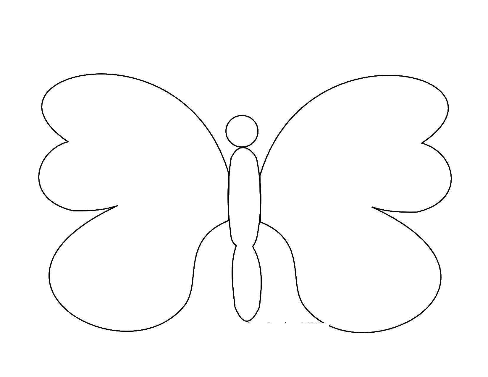   Бабочка с неузорчатыми крылышками