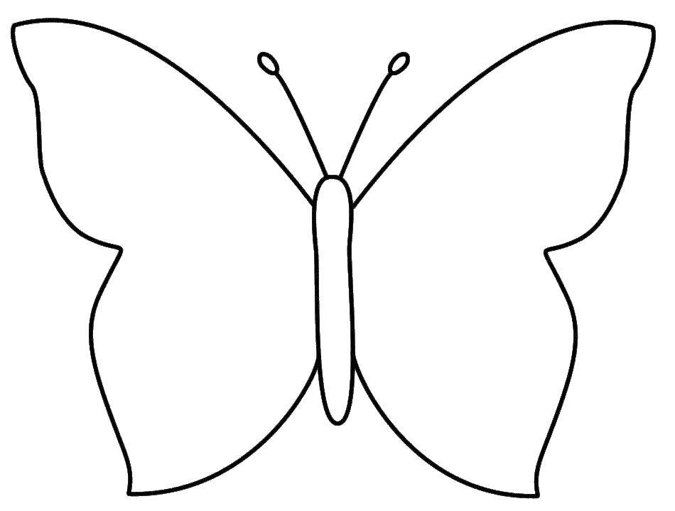   Бабочка с простыми крыльями