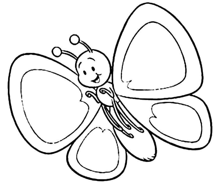   Малютка бабочка