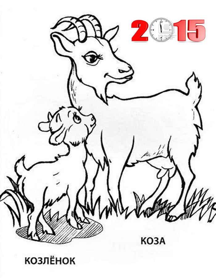   Рисунок козы и козленка 2015