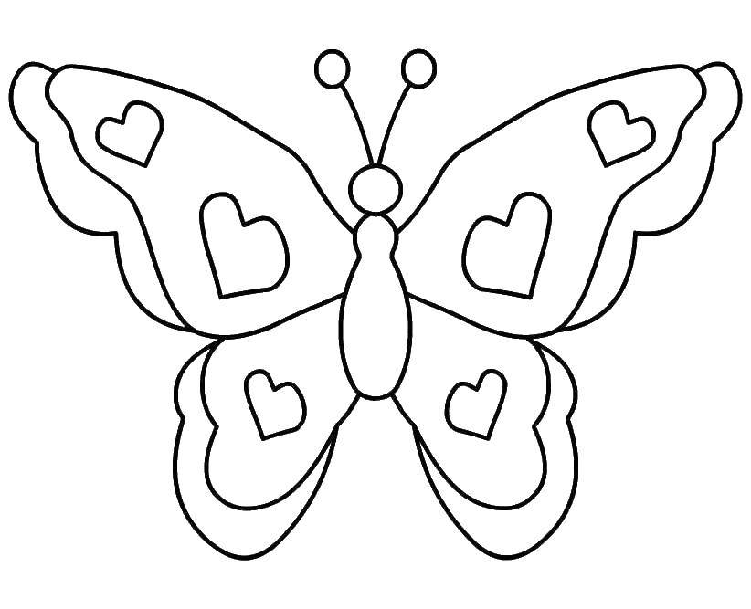   Сердечки на крыльях бабочки