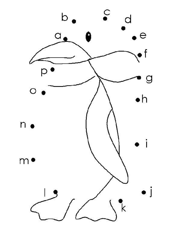 Раскраска с пингвинами  Нарисуй по буквам пингвинчика