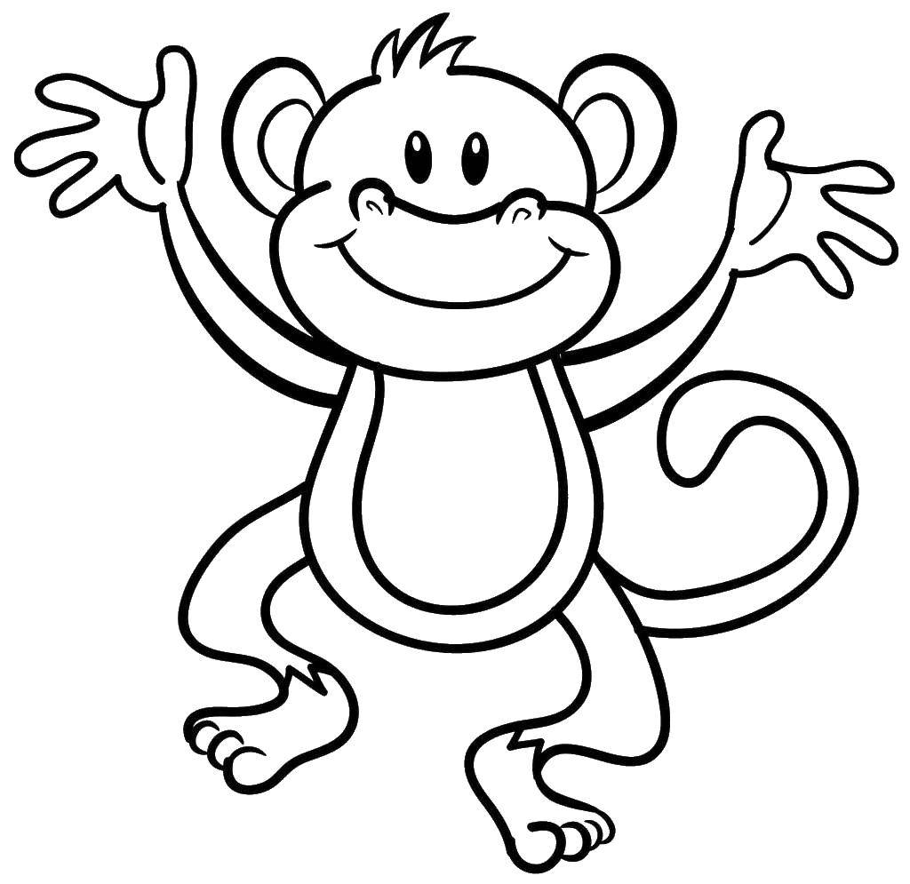   Веселая обезьянка