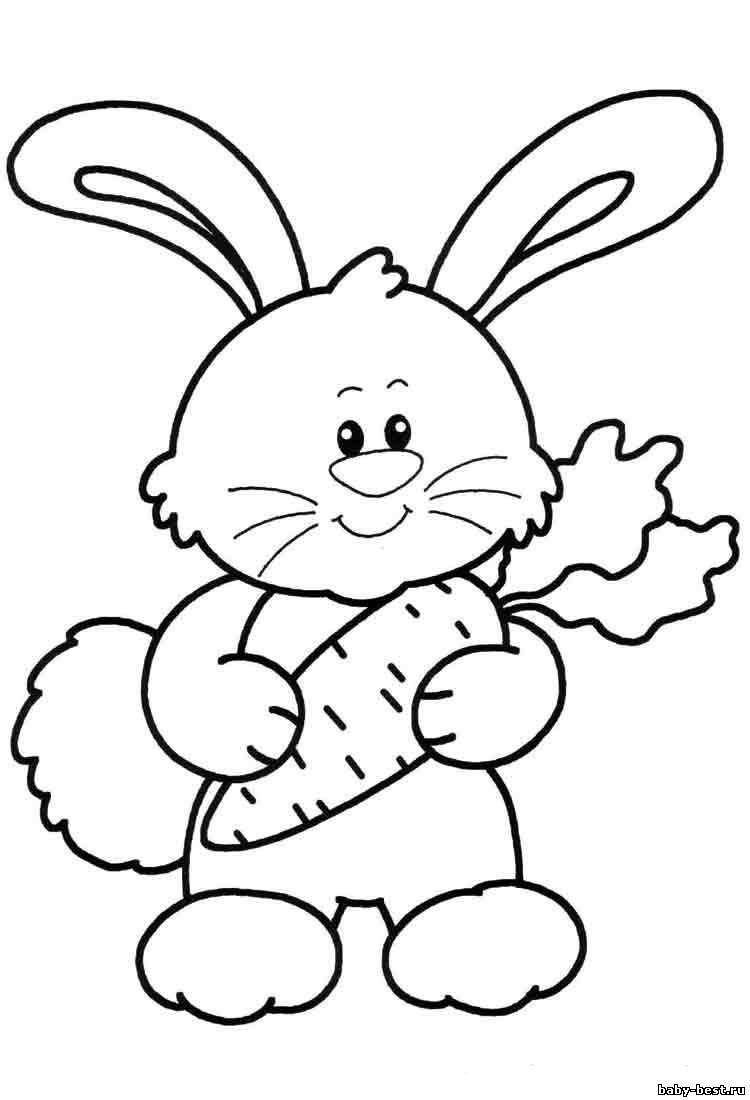 Раскраски зайчата и зайцы  Рисунок зайчика с морковкой
