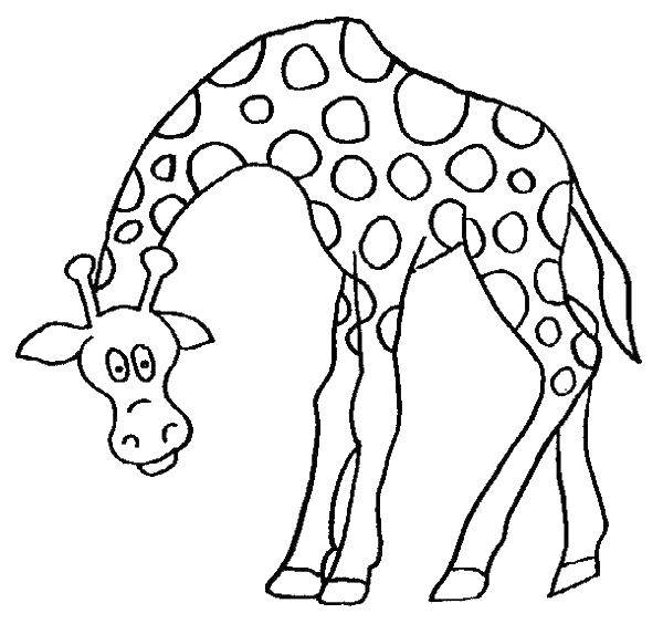 Раскраски жираф  Добрый жираф