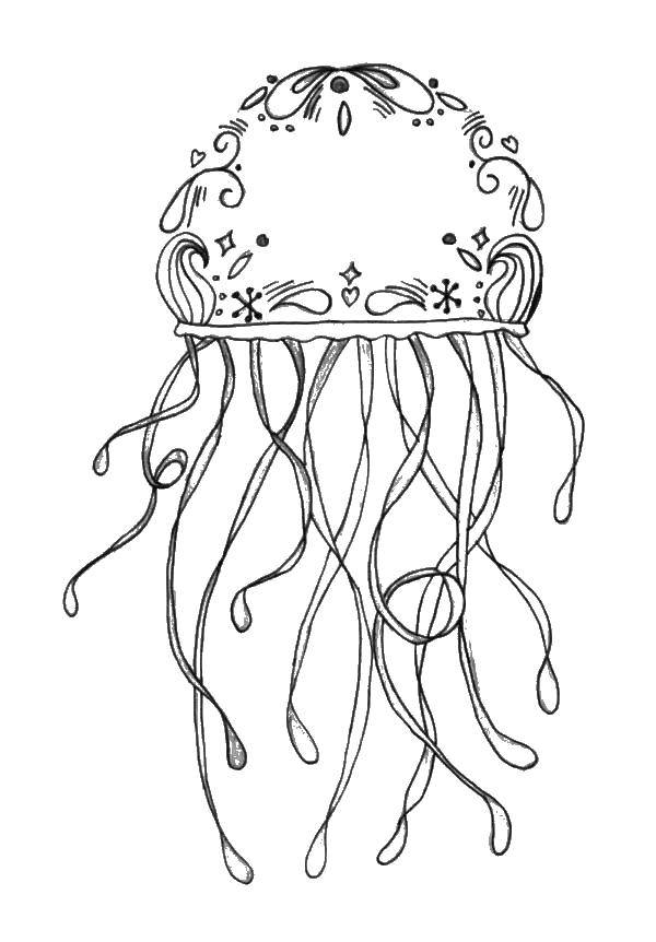   Медуза с узорами.