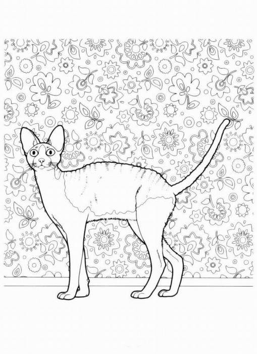   Рисунок египетской кошки мау