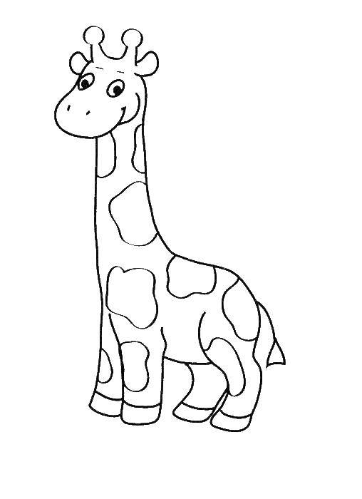 Раскраски жираф  Веселый жирафик