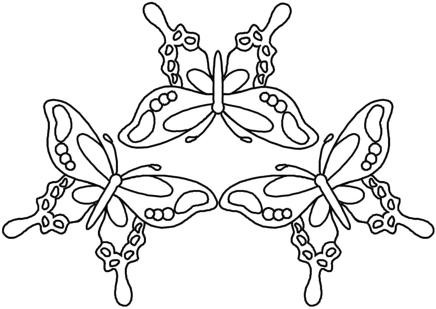   Три красивые бабочки