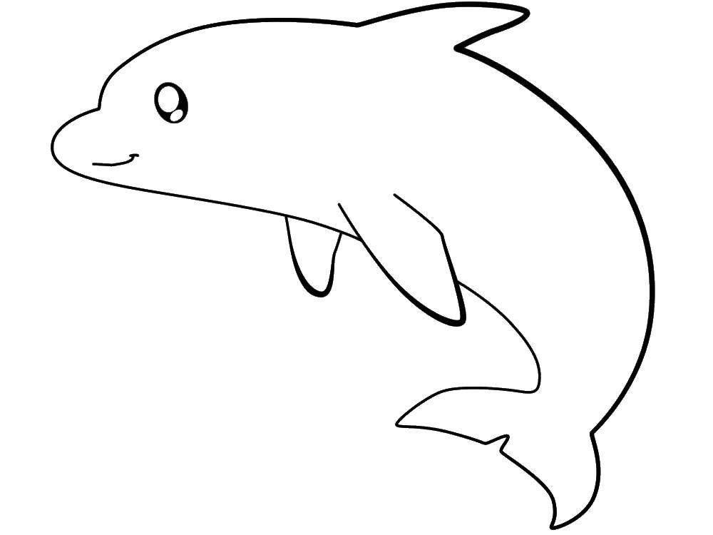   Морской дельфинчик