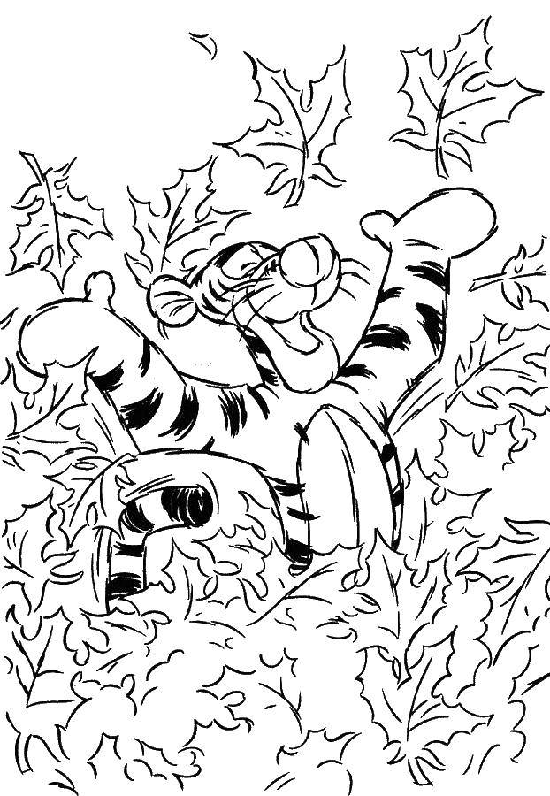   Тигра в листве