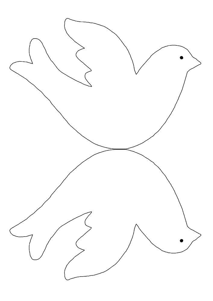 Раскраски с птицей голубь  Трафарет голубя