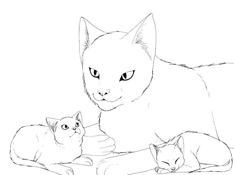   Кошка с котятами