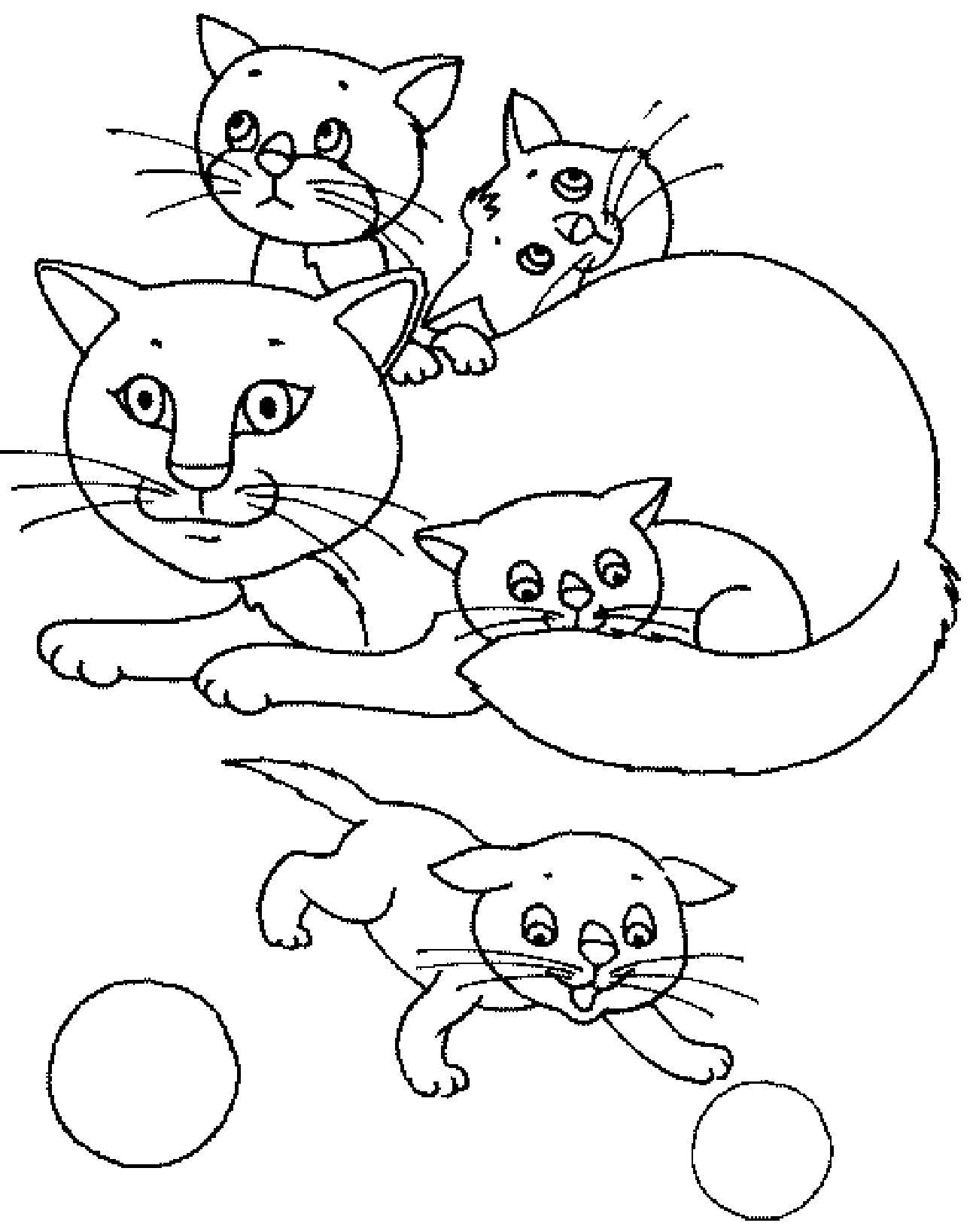   Кошка с котятками