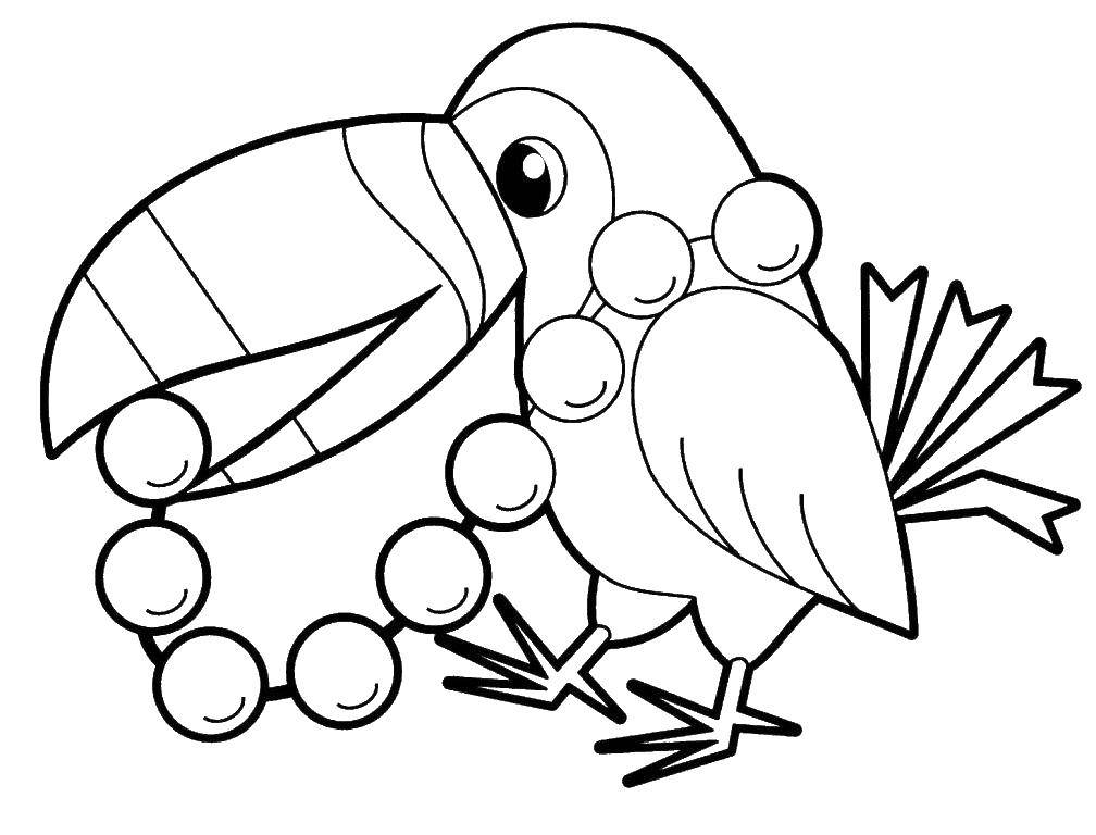 Раскраска попугай  Попугай с ягодками