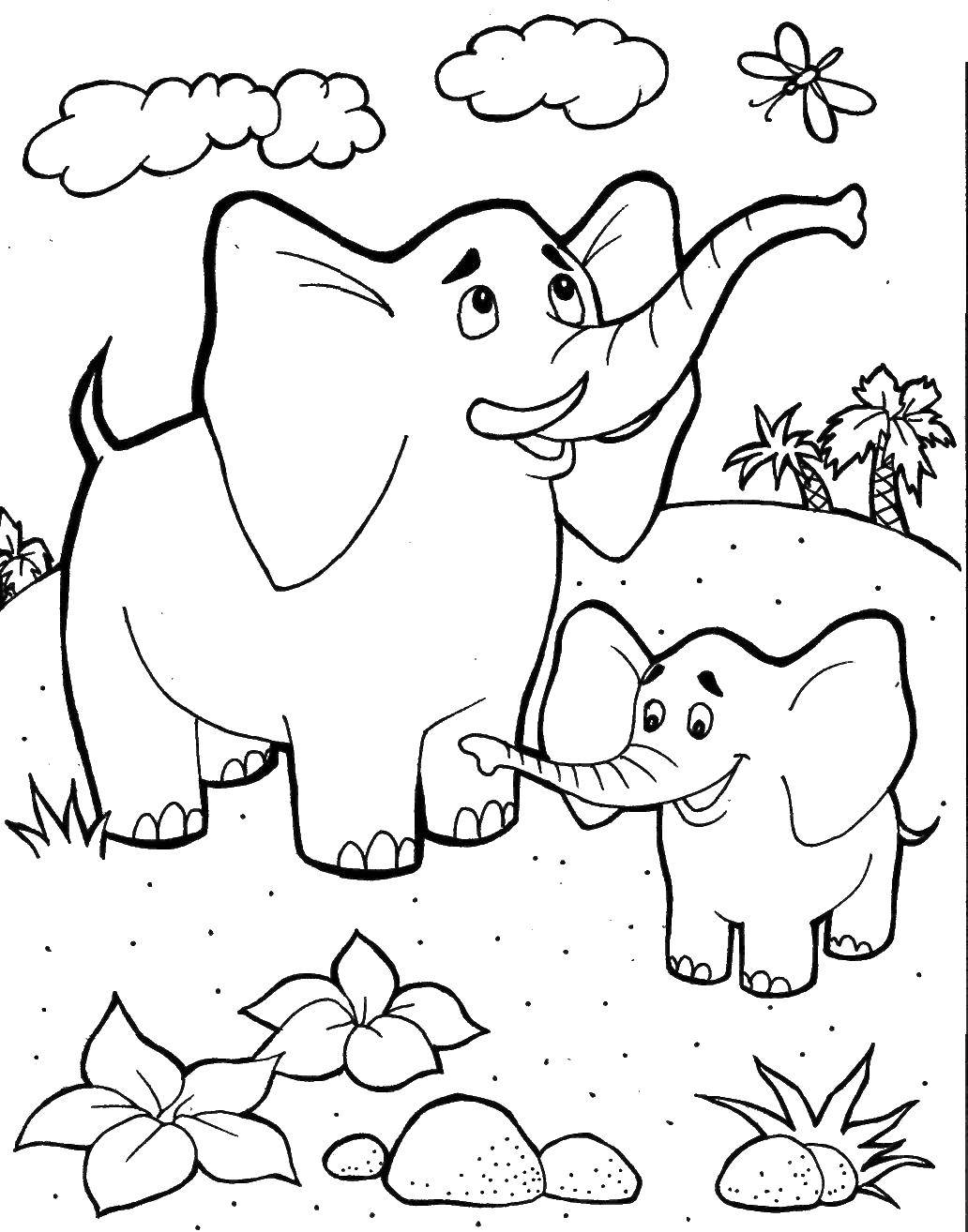   Слониха и слон