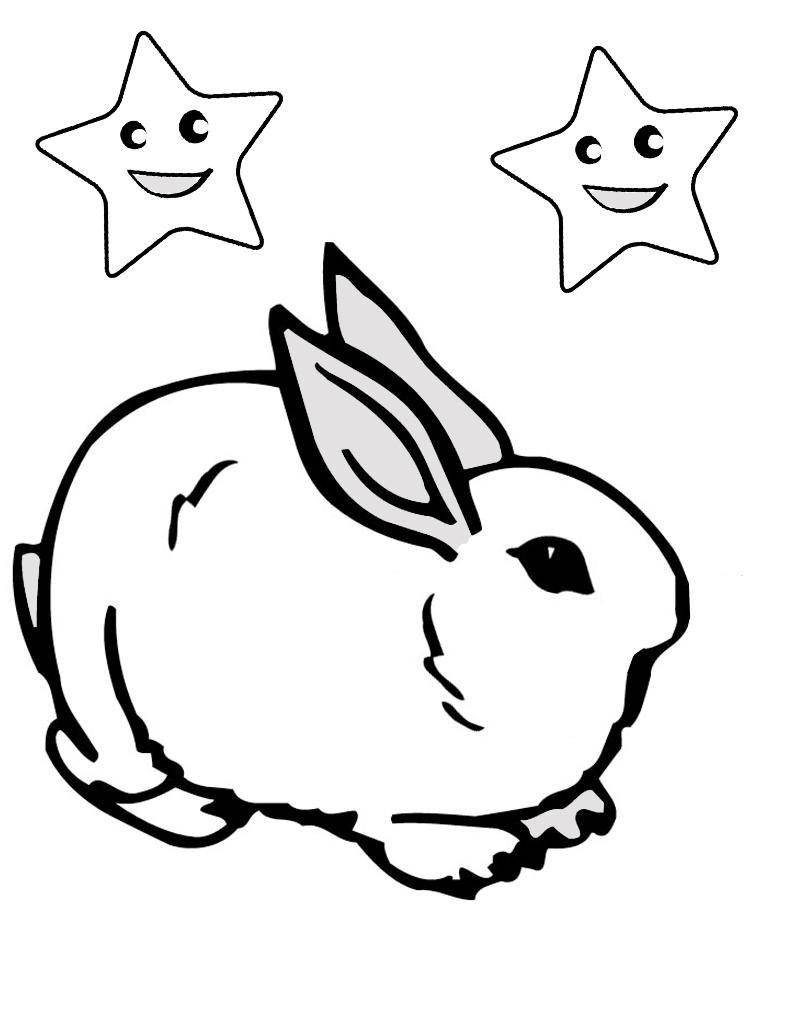 Раскраски зайчата и зайцы  Зайчик  со звездами