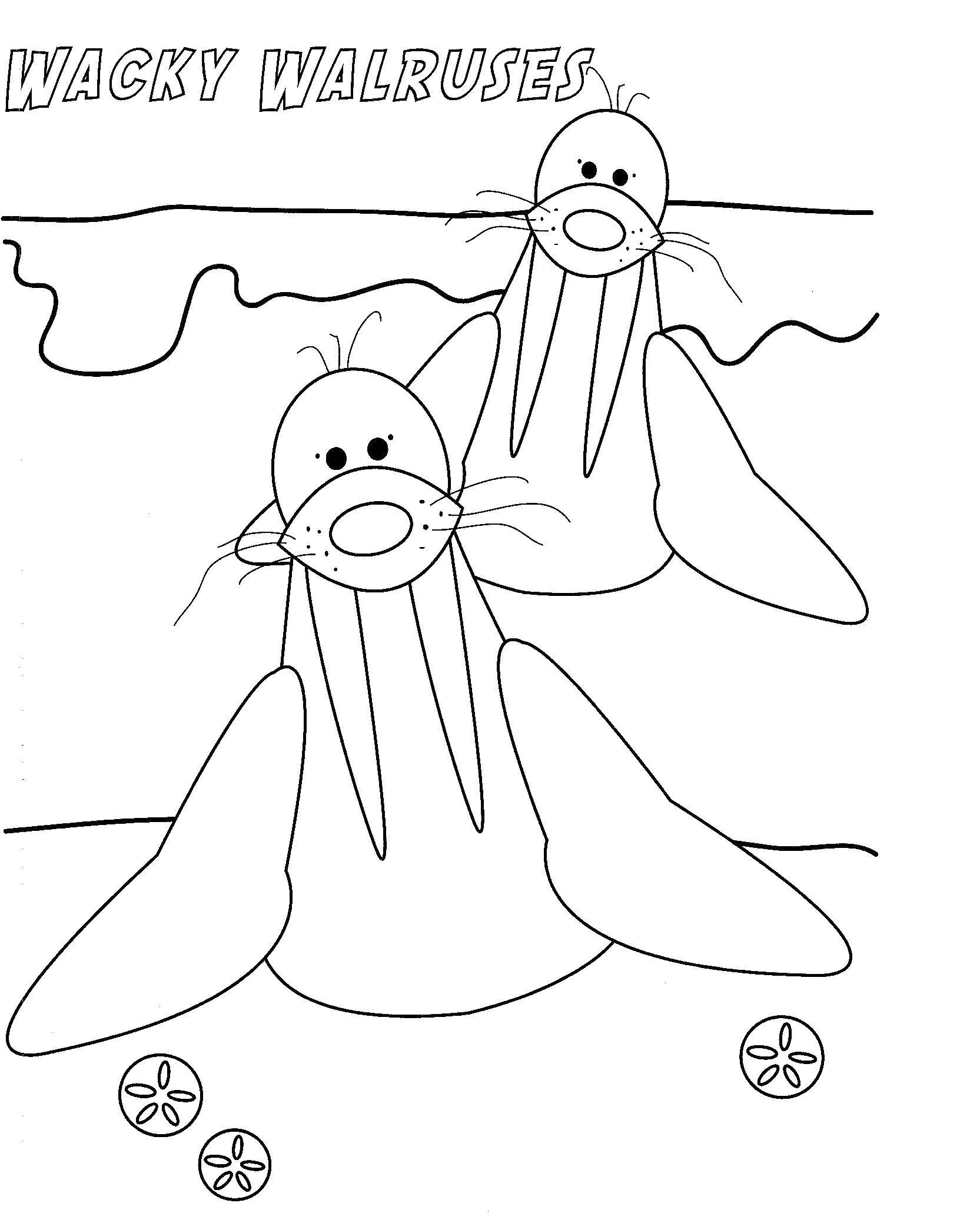   Клыкастые моржи