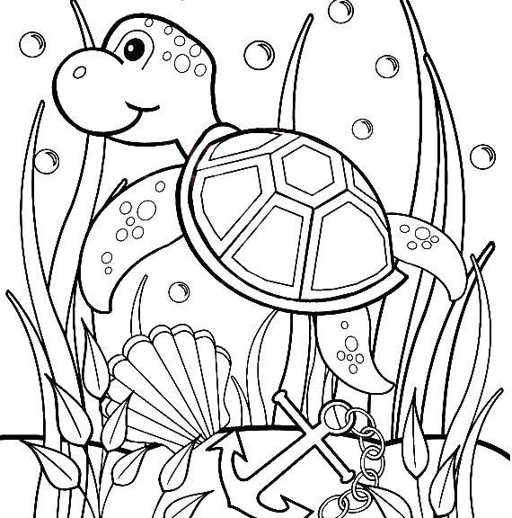   Морская черепашка плавает в водорослях