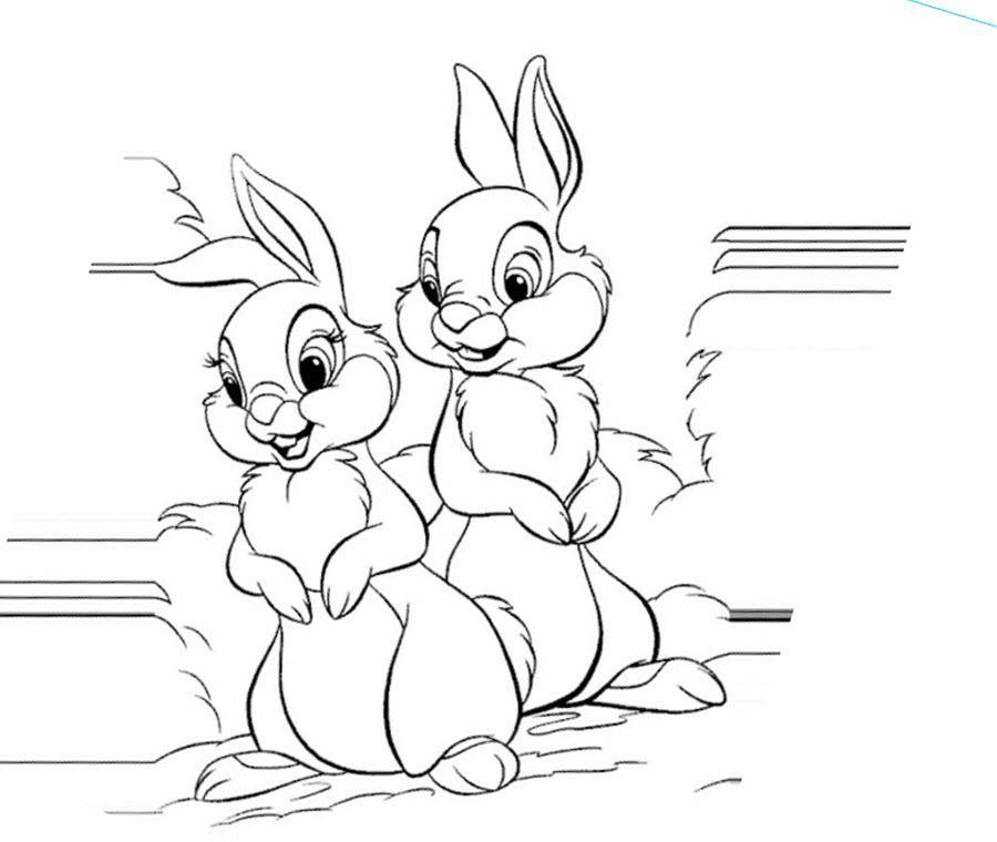 Раскраски зайчата и зайцы  Рисунок два зайчика