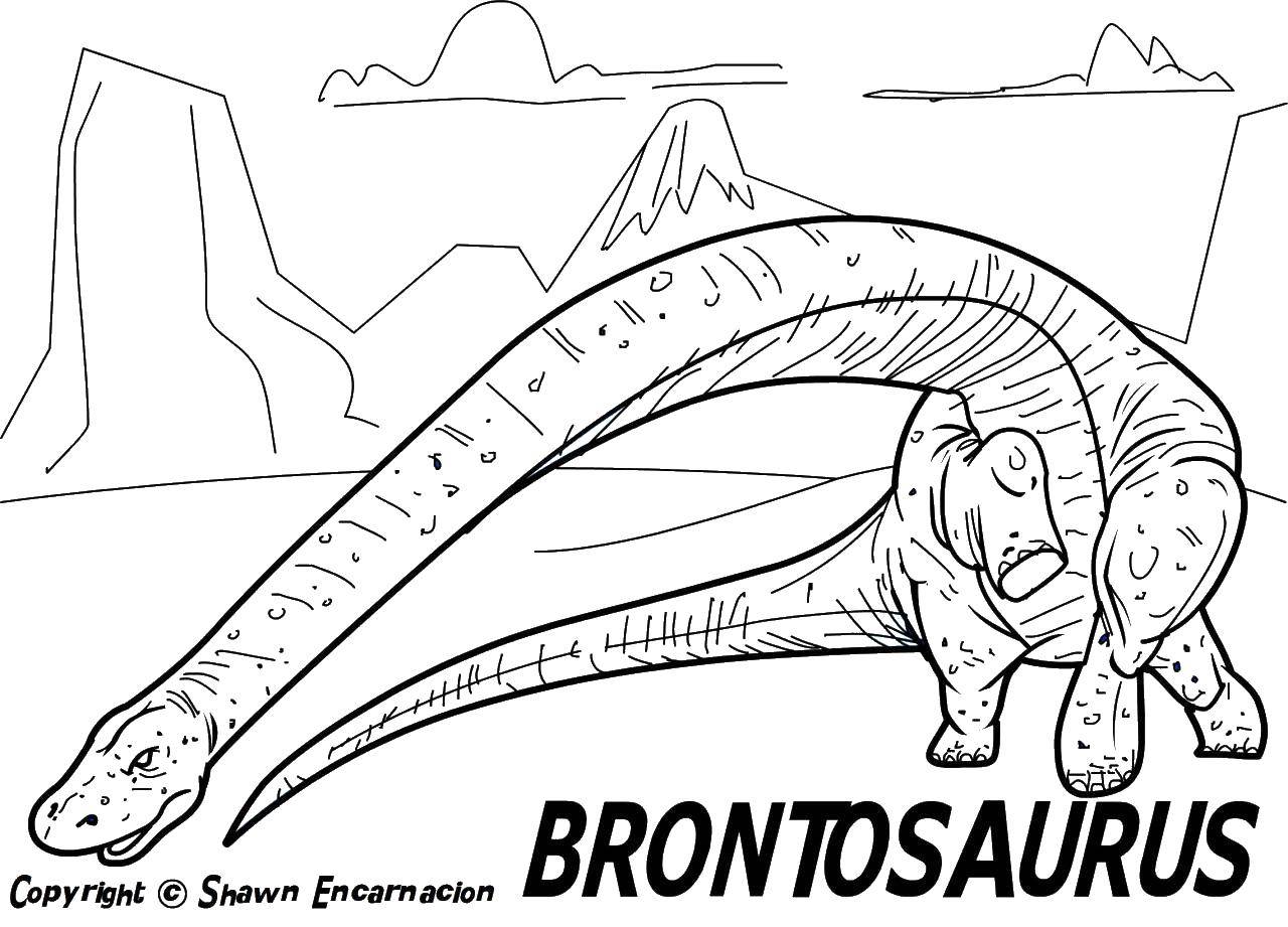   Бронтозавр , длинная шея