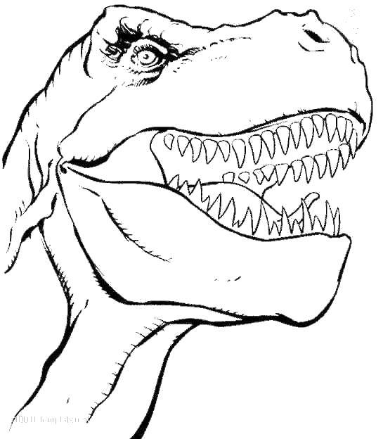   Острые зубы тираннозавра