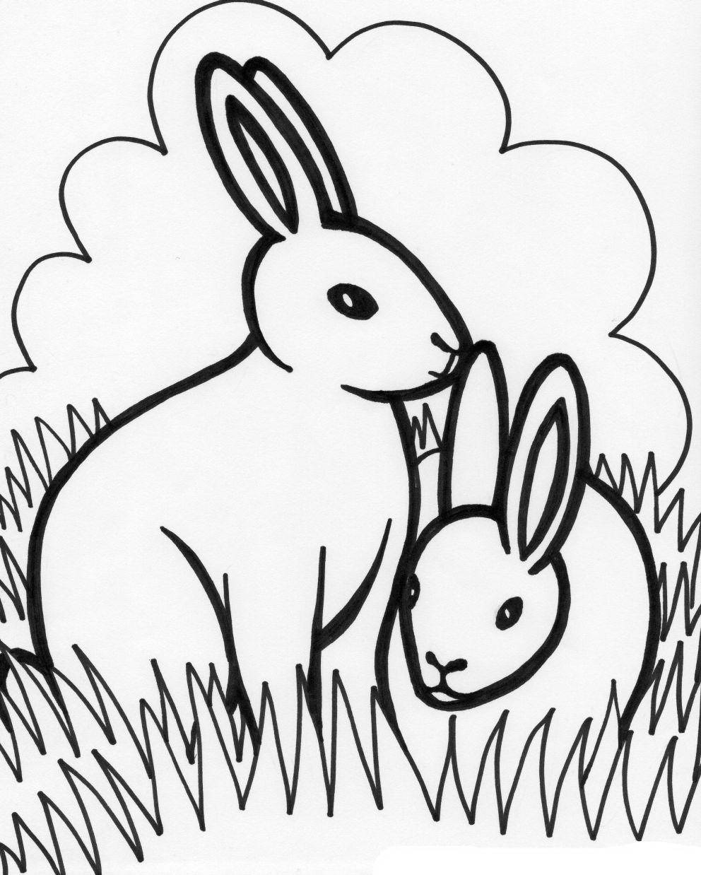 Раскраски зайчата и зайцы  Рисунок зайчики на лугу