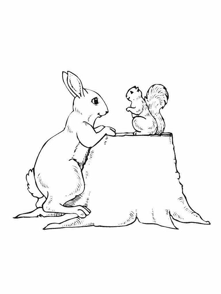 Раскраски зайцы  Рисунок зайца и белки сидящих на пеньке